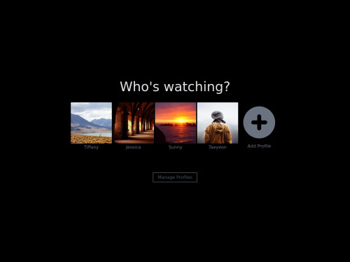 tailwind Netflix - Select User